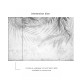 Affreschi & Affreschi | About You | AY 052